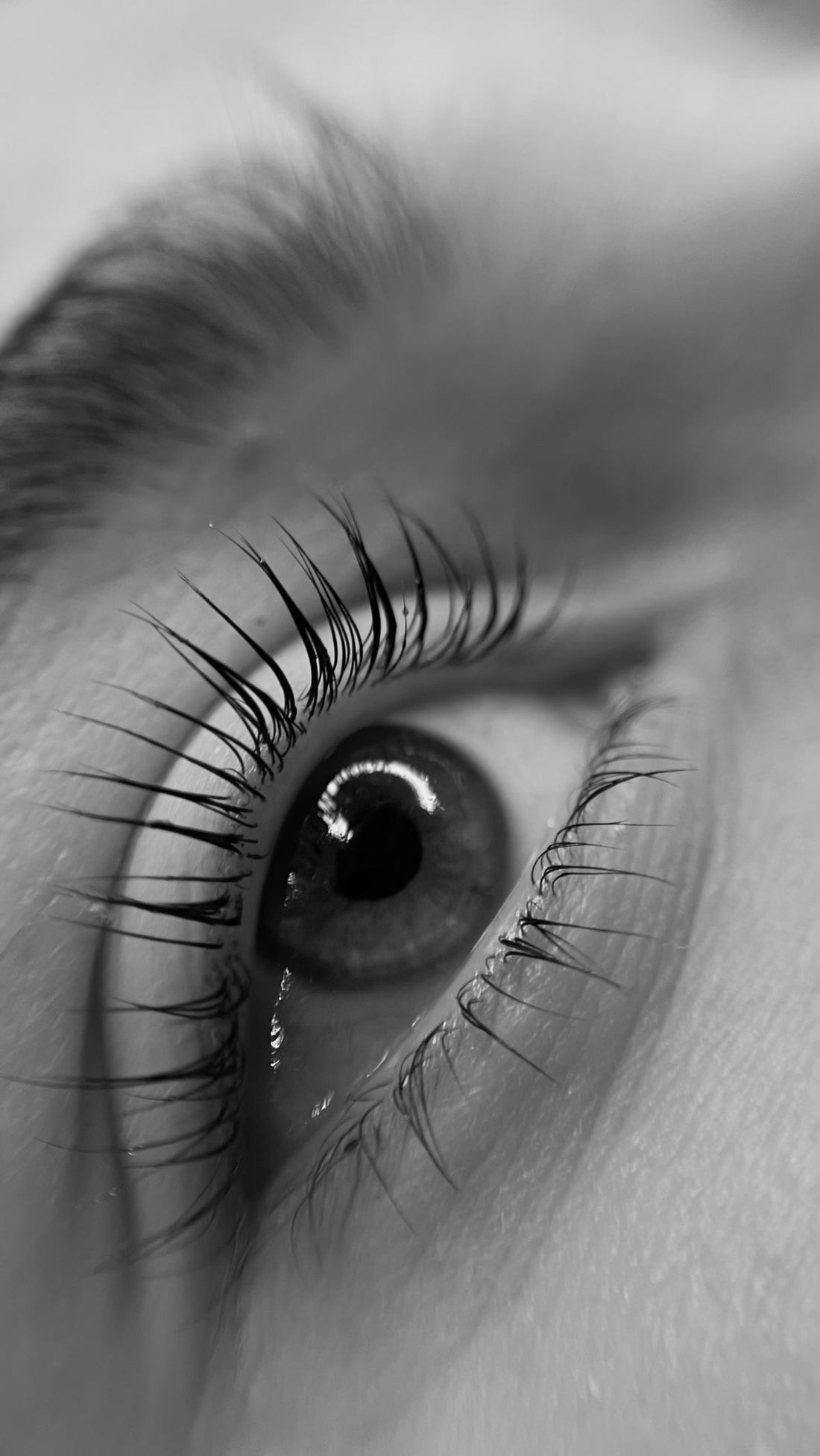 LASH LIFTS: Why they are game changing!