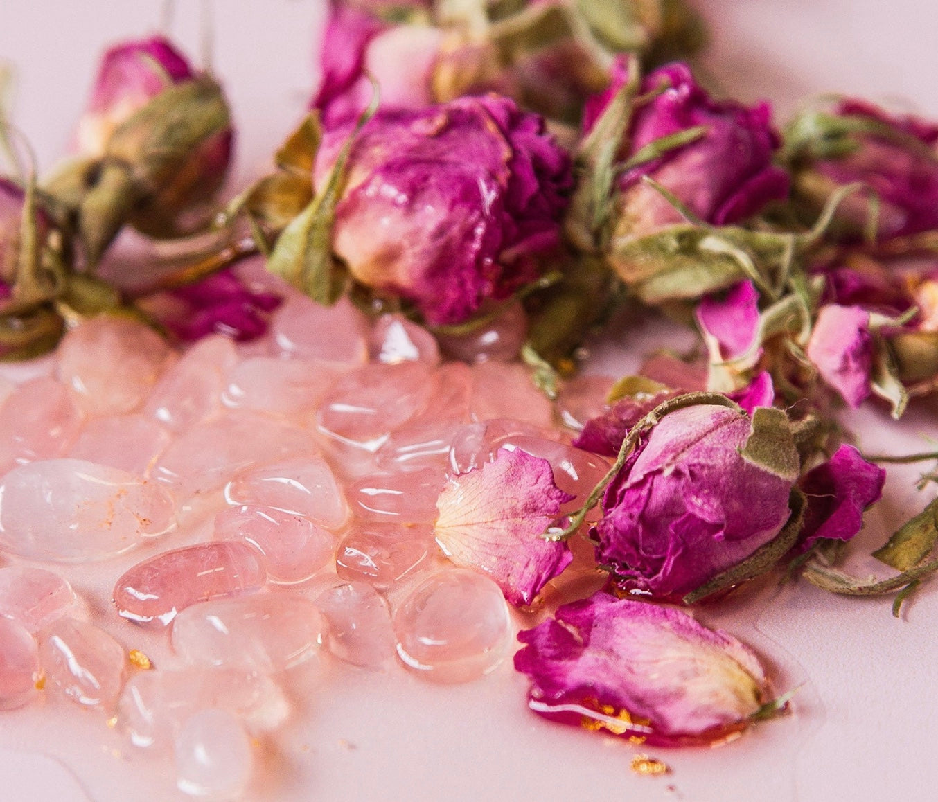 Wild Rose Face & Body Oil
